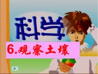 冀教版（三起）科學(xué)三年級上冊6-觀察土壤 課件