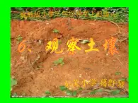 冀教版（三起）科學(xué)三年級上冊6《觀察土壤》.ppt課件