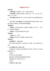 教科版 (2017)二年級上冊1.地球家園中有什么教案