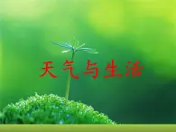 冀人版2017科學(xué)一下3.11《天氣與生活》PPT課件+教學(xué)設(shè)計