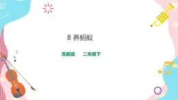蘇教版二年級(jí)下冊(cè) 3.8 養(yǎng)螞蟻 PPT課件+教案+同步練習(xí)