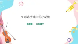 蘇教版二年級(jí)下冊(cè) 3.9 尋訪土壤中的小動(dòng)物 PPT課件+教案+同步練習(xí)