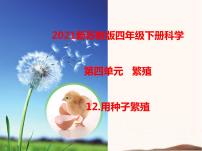 小学科学苏教版 (2017)四年级下册12 用种子繁殖获奖ppt课件