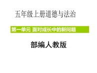 五年级上册道德与法治第3课《主动拒绝烟酒与毒品》PPT教学课件（第二课时）