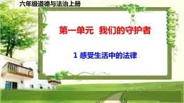 六年級(jí)道德與法治上冊(cè)1《感受生活中的法律》課件+教案+學(xué)案