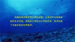 粵教版七年級上3.3人類與海洋 PPT課件