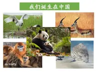 滬教版七年級上冊祖國篇(上)3 氣溫與降水3.3 氣候特點 課件(24張PPT)+學單+視頻