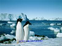 湘教版七年级下册第五节 北极地区和南极地区图片课件ppt