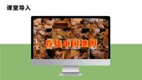 魯教版 (五四制)七年級上冊第二節(jié) 農業(yè)教學演示ppt課件