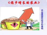 晉教版地理八年級上冊第四章《穩(wěn)步增長的農(nóng)業(yè)》課件