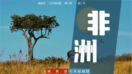 6.2  非洲 - 七年級(jí)地理下冊(cè)同步教學(xué)精品課件(湘教版)