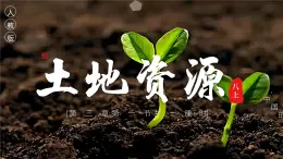 3.1土地資源【課件】——2025新教材人教版初二地理上冊