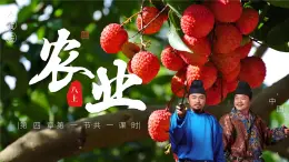 4.1農(nóng)業(yè)【課件】——2025新教材人教版初二地理上冊