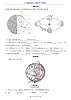 人教版七年级上册地理1.3 地球与地球仪（分层练习）