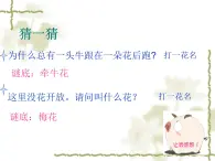 七年級上冊 / 第二單元  茉莉芬芳課件PPT