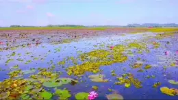 第三單元歌劇之夜-洪湖水，浪打浪 課件-2024—2025學(xué)年人教版八年級音樂上冊