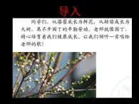 人教版七年級上冊音樂第一單元蓓蕾之歌(課件)