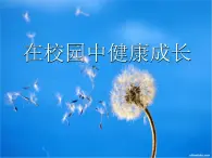 初中美术 人教课标版 七年级上册 　在校园中健康成长 课件