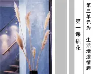 人教版初中美术八年级下册 第三单元 第1课 插花   课件4