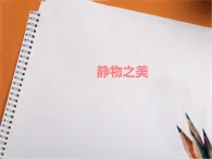 浙美版初中美術八年級上冊 6.靜物之美   課件1