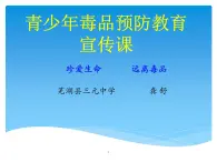 初中體育與健康 華東師大課標版 九年級 拒絕毒品 珍愛生命，遠離毒品 課件