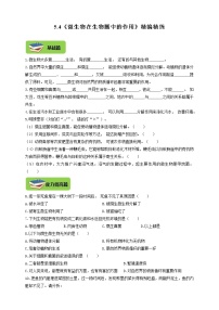 八年級(jí)上冊(cè)第四章  微生物在生物圈中的作用達(dá)標(biāo)測(cè)試
