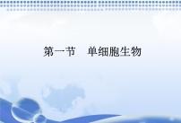 单细胞生物PPT课件免费下载