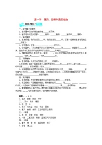 人教版 (新課標(biāo))七年級(jí)上冊(cè)第一節(jié) 藻類、苔蘚和蕨類植物練習(xí)題