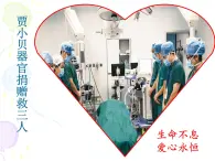 上海版八年級上冊生物  1.1.2 器官是由什么構(gòu)成的（1）器官的概念 課件   (共21張PPT)