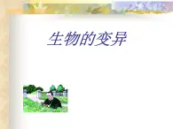 上海版八年級上冊生物  2.3.6 生物的變異（2） 課件   (共27張PPT)