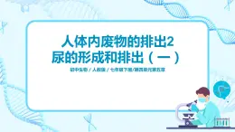 人教版（新課標）生物七下：第五章《人體內(nèi)廢物的排出》（第二課時）--尿的形成和排出（課件+教案+練習）
