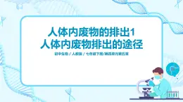 人教版（新課標）生物七下：第五章《人體內(nèi)廢物的排出》（第一課時）--人體內(nèi)廢物排出的途徑（課件+教案+練習）
