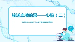 人教版（新課標）生物七下：4.3《輸送血液的泵——心臟》（第二課時）（課件+教案+練習）
