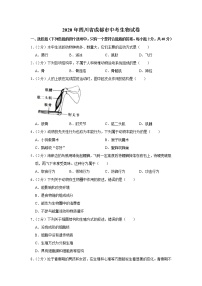 2020年四川省成都市中考生物试卷【含答案+解析】（可打印）