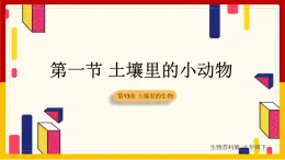 第5單元 環(huán)境中生物的多樣性 第13章 土壤里的生物 第1節(jié) 土壤里的小動物課件PPT
