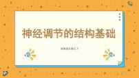 2020-2021學(xué)年第二節(jié) 神經(jīng)調(diào)節(jié)的結(jié)構(gòu)基礎(chǔ)教學(xué)ppt課件