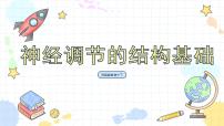 初中生物濟(jì)南版七年級(jí)下冊(cè)第二節(jié) 神經(jīng)調(diào)節(jié)的結(jié)構(gòu)基礎(chǔ)教學(xué)ppt課件