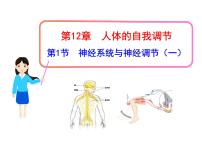 北師大版七年級(jí)下冊(cè)第1節(jié) 神經(jīng)系統(tǒng)與神經(jīng)調(diào)節(jié)課文配套ppt課件