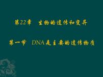 苏教版八年级下册第一节 DNA是主要的遗传物质教课内容课件ppt