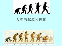 苏科版八年级下册第4节 人类的起源和进化教课课件ppt
