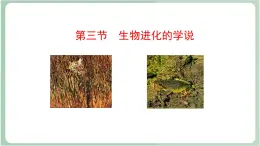 苏教版生物八年级上册16.3 生物进化的学说 课件