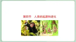 苏教版生物八年级上册16.4 人类的起源和进化 课件