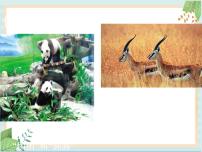 北京版七年级上册第一节 认识我们身边的植物和动物完整版ppt课件
