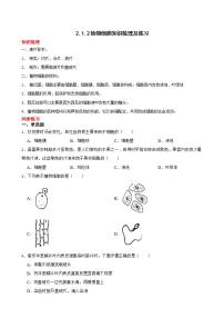 初中生物人教版 (新課標(biāo))七年級上冊第二單元 生物體的結(jié)構(gòu)層次第一章 細胞是生命活動的基本單位第二節(jié) 植物細胞課后復(fù)習(xí)題
