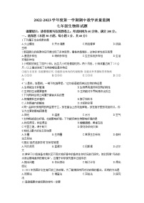 广东省揭阳市揭东区2022-2023学年七年级上学期期中生物试题（含答案）
