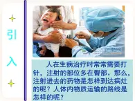 冀教版生物七年級下冊 2.3物質(zhì)運輸?shù)穆肪€ 課件