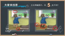 冀教版生物七年級下冊 4.1信息的獲取 課件