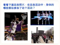 冀教版生物七年級下冊 4.2信息的傳遞 課件