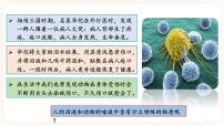 初中生物人教版 (新课标)八年级下册第八单元 健康地生活第一章 传染病和免疫第二节 免疫与计划免疫优质课课件ppt