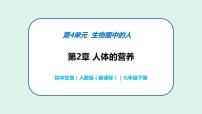 初中生物人教版 (新課標(biāo))七年級下冊第一節(jié) 食物中的營養(yǎng)物質(zhì)優(yōu)質(zhì)課課件ppt